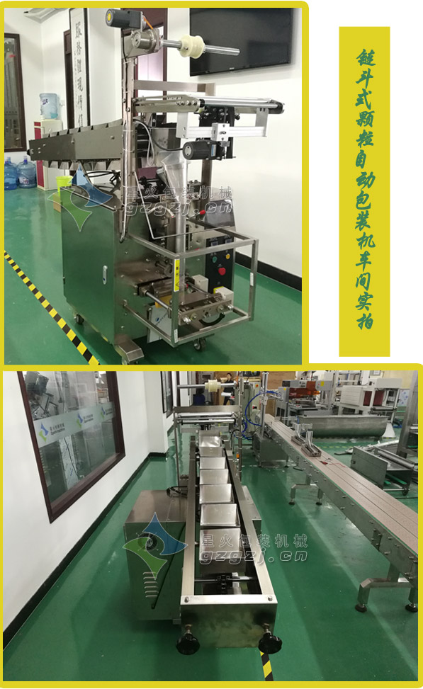 全自动松子包装机车间展示